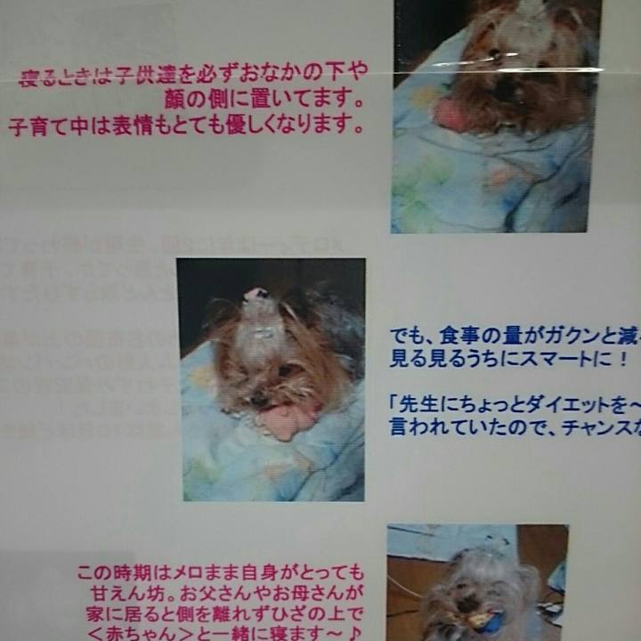 Bc9698c6 ad6b 4ee6 ba1c ea46ee107883