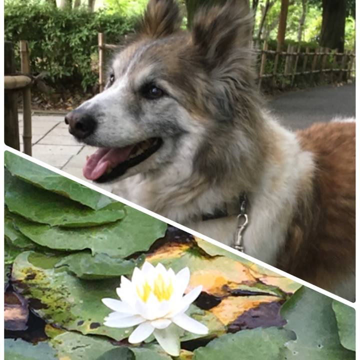 Bc96ed48 9bb3 4eea 936d 50da11ef0e53