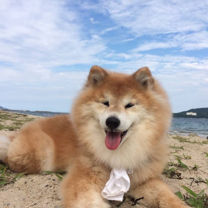 Bc970eee a554 41c1 a99e b12603eebcea