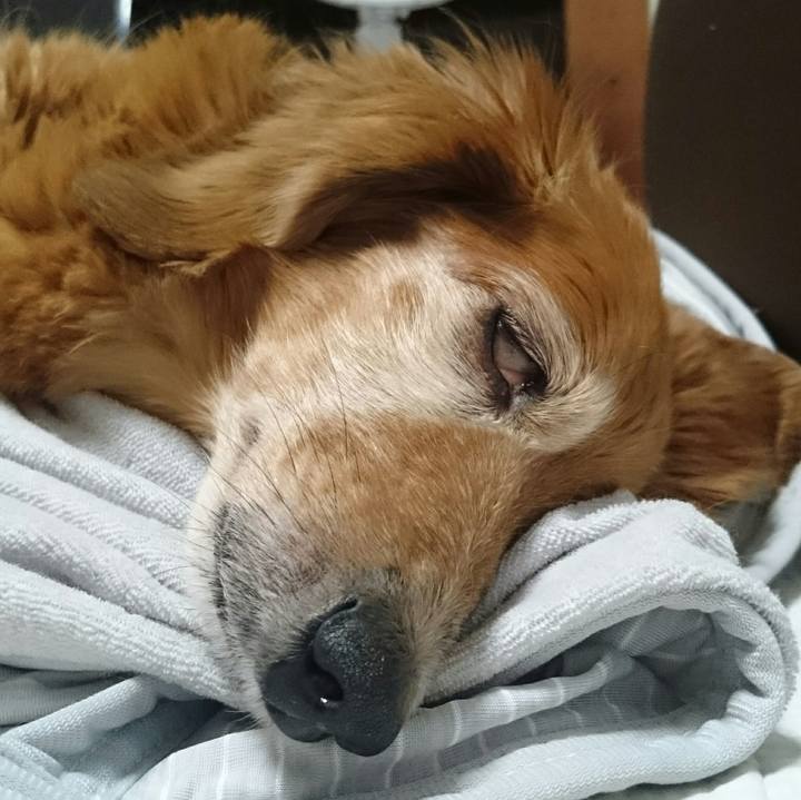 Bc972a86 3036 414c 8261 9dfbdb626e1a