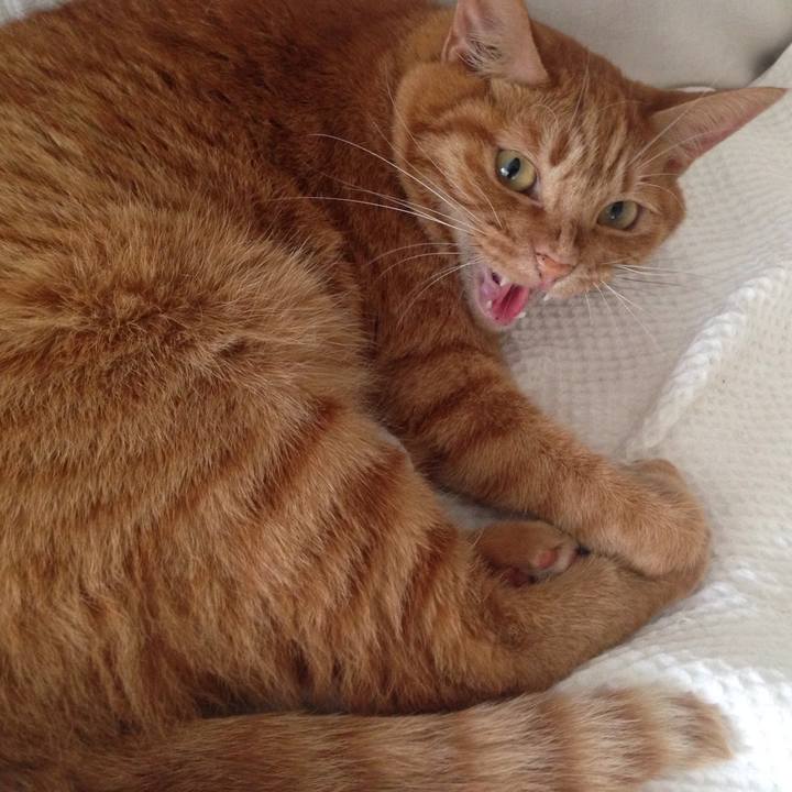 Bc9771ec 95b2 42d4 a10a 2b6cabcb6484