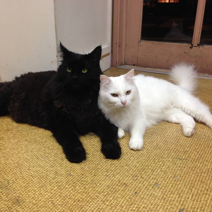 Bc97b125 234a 46c3 996a c734c9e1620f