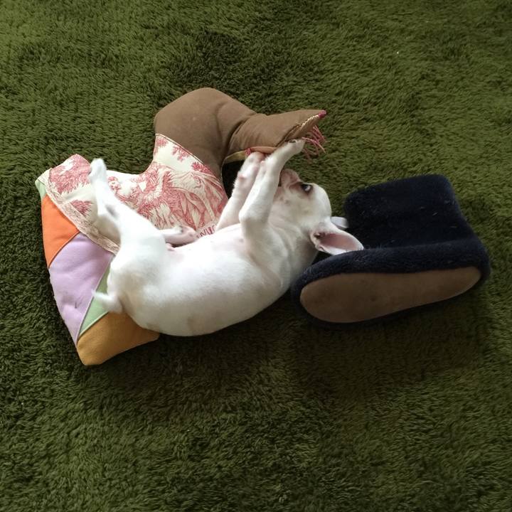 Bc99fd4d bf60 4a50 8656 17f83fc80b42