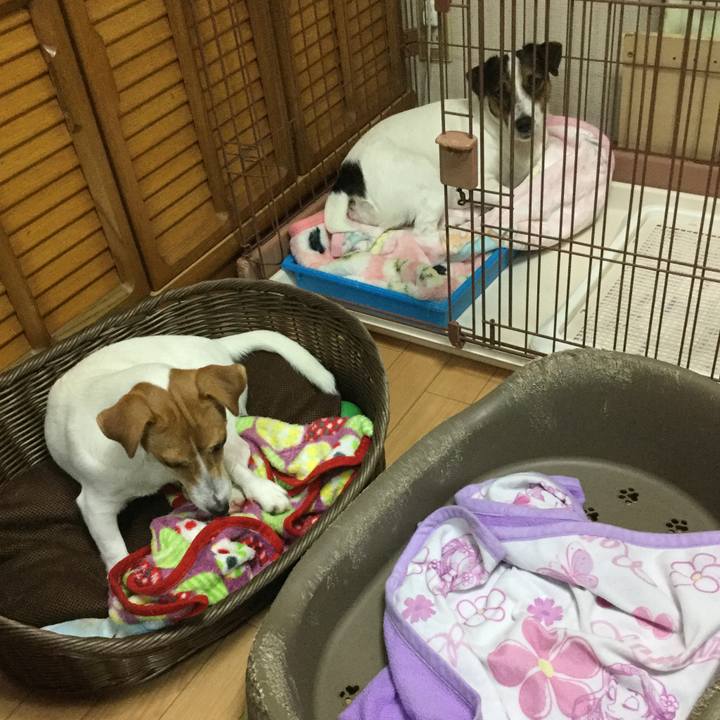 Bc9acd4c a356 4a1a bd87 343afa0ebeb8