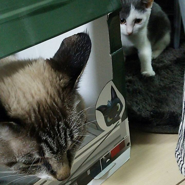 Bc9b8ec2 f34a 421e af32 e7bb7351c573