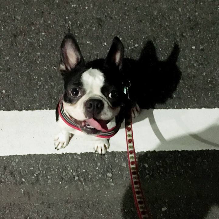 Bc9bd458 2094 4f32 8482 1404b465e300