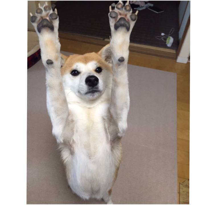 Bc9dc409 bb3c 4cc6 ae1e dd3ddd5479f1