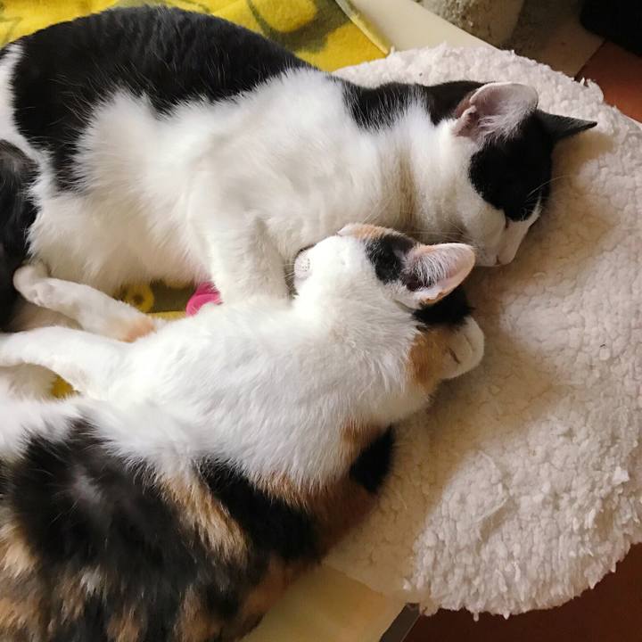 Bc9eb195 ab4c 48ec bb3e 760a8b9a062d