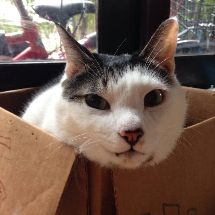 Bc9f47cc 5482 4ec1 8b09 96d389c38d46