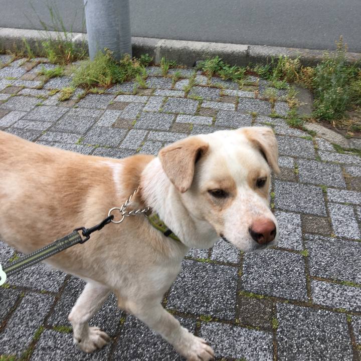 Bc9fd97c 48a3 4cba bfd4 df9a15c1c2a8