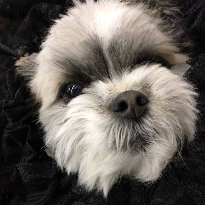 Bc9fea0a 026e 4929 b019 32ef16342b33