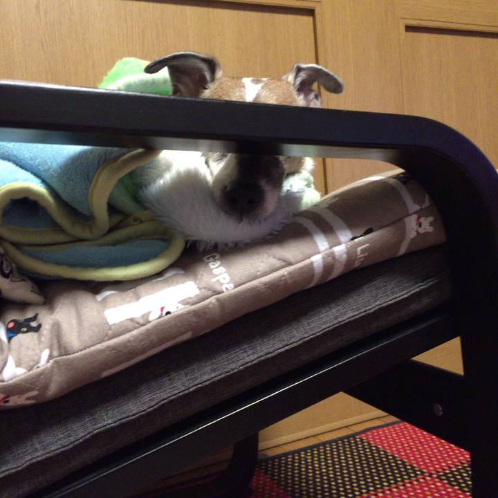 Bca01dea bf6e 4b9e 938c f3e903ce8f1d