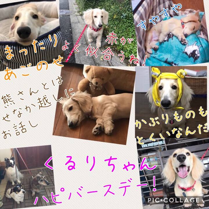 Bca0633b 1fe1 47f0 88ae 02c4d67eff6b