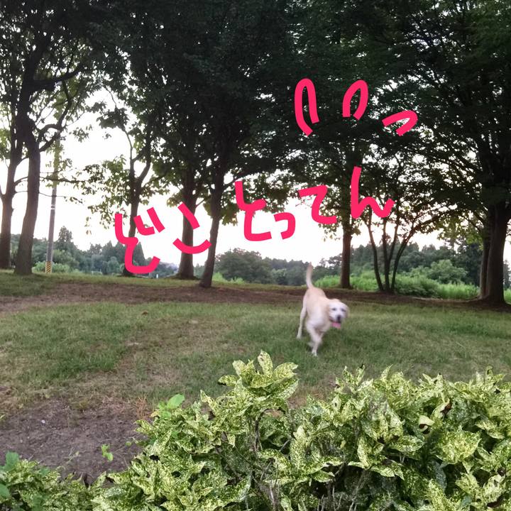 Bca17227 ae67 434a bb96 ab696e493f19