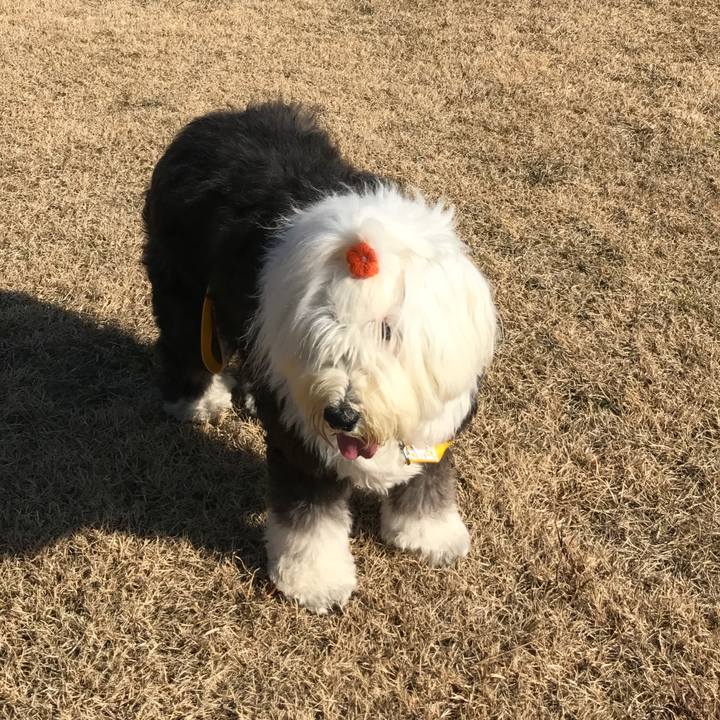 Bca1d7e2 5be1 457a a535 ec34f5beae61