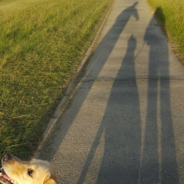 Bca21e3c cc5d 4473 b4c4 b8651bf3525b