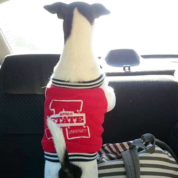 Bca22103 9ca1 47ed 8b8e 21344311d152