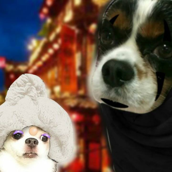 Bca2ab26 638f 47bb bcb3 5ca4a1c15cf7