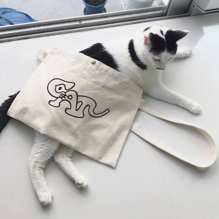 Bca2dce1 a207 4251 91c1 7ec0b5cfbc42