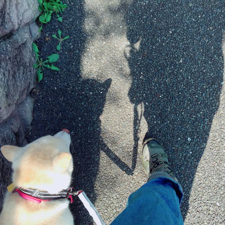 Bca3857f 90db 4917 a9e6 e258bb1d1c18