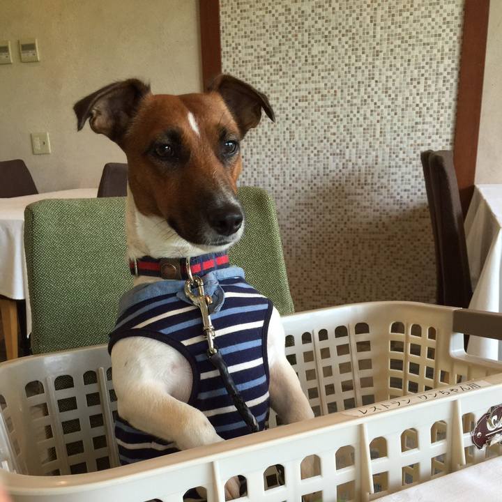 Bca3d4c3 b961 4c74 ac39 6a12bce532dc