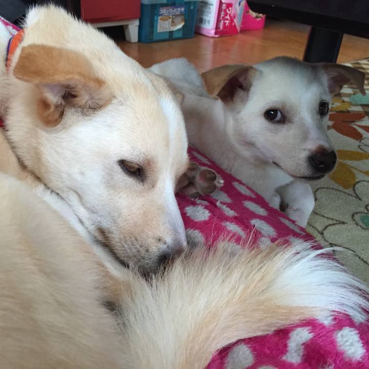 Bca3d885 cf1d 4802 8a48 47f352ddb900