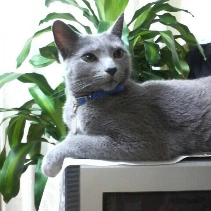 Bca47a91 b0a4 48b0 9b12 3a7eb310db65