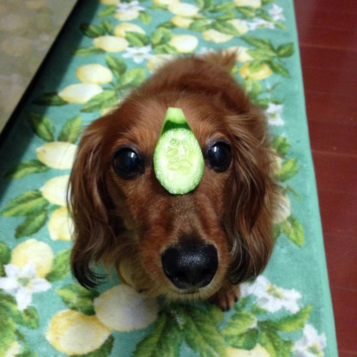 Bca63cec f39a 4ed6 9e63 6d03a039de51