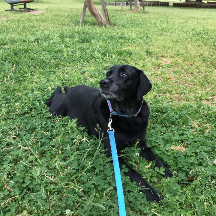 Bca76b7b 5ae6 405f 98f2 5dea4ca706ac