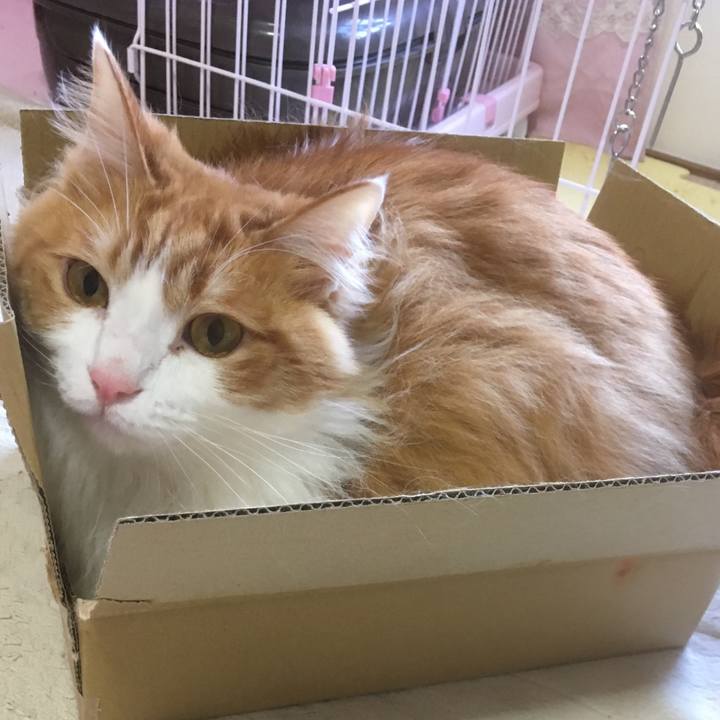 Bca7e4c9 d3c6 4bd9 8c02 b00e9c5ebfcd