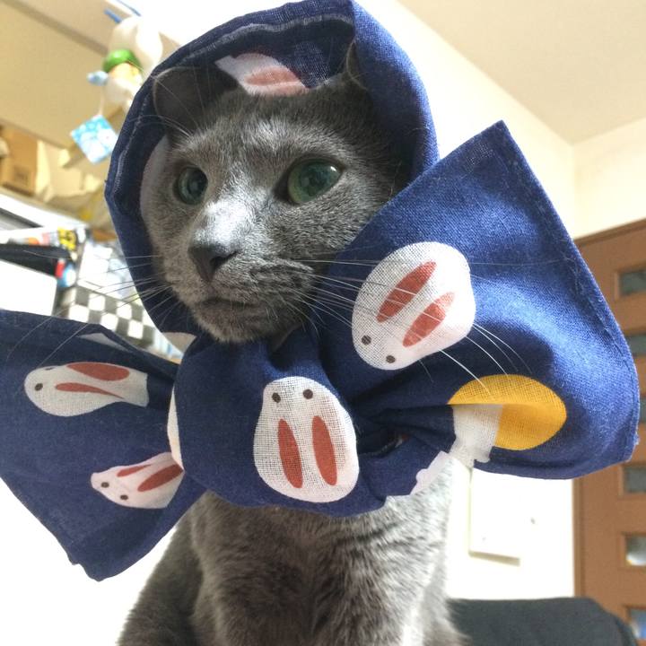 Bca801ac 4a62 4ac2 83b4 965c11251184