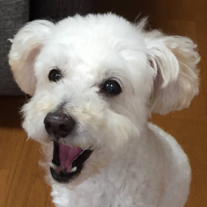 Bca8471e e30a 483c 8dd5 8ade6af67a98