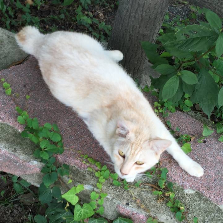 Bca86e1d 2abc 4957 897c 6a48d267d8d3