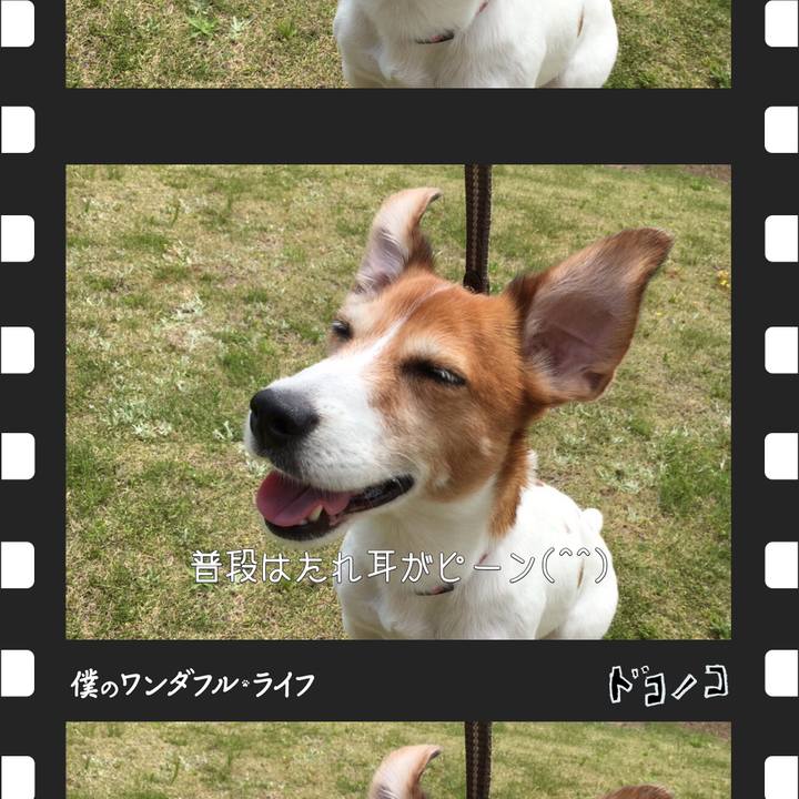 Bca94342 3ff4 46e0 81e4 5649e34cb6ba