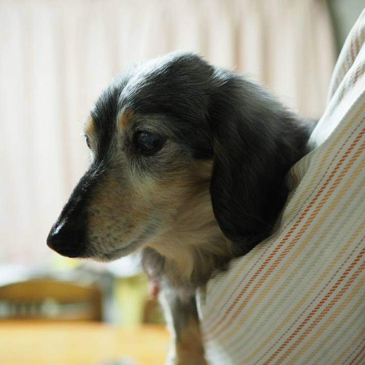 Bca95c20 8d8a 4eca 93b8 38af30460358