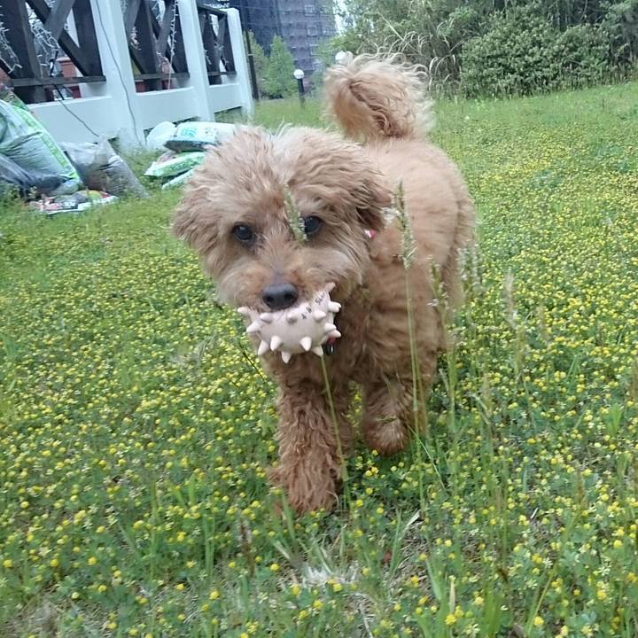 Bca98f9d 725c 4c98 ab8d 6859af419634