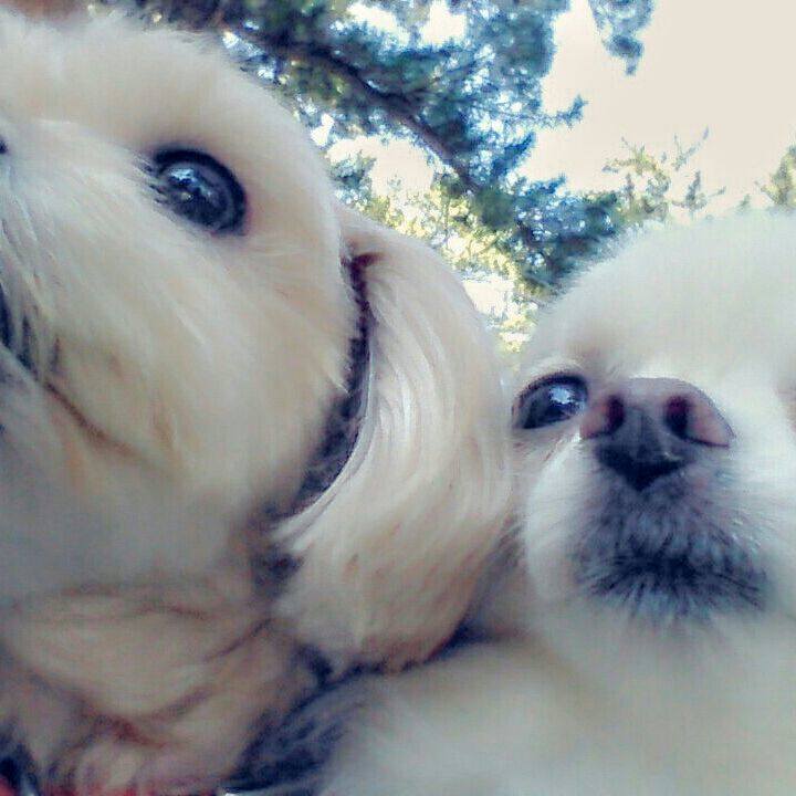 Bcaa25f7 f677 4274 bd46 962caf134fb5