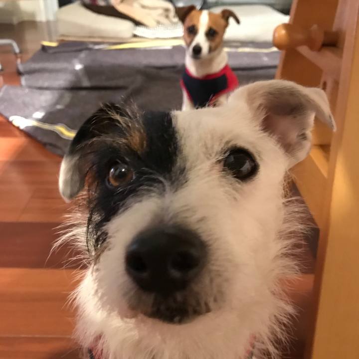 Bcaa9205 6d56 45d2 8c8e 1591c18debaa