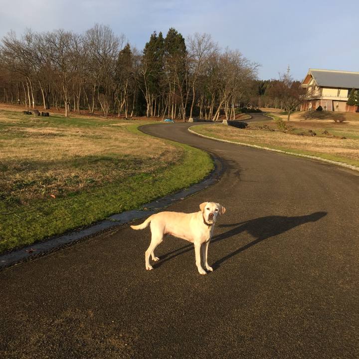 Bcaaaa74 5ca3 4038 a5ca 8d7267a5ddec