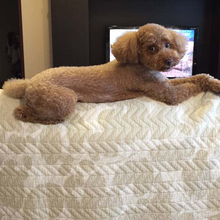 Bcabb37a 73fb 402f ad54 e991facdbdad