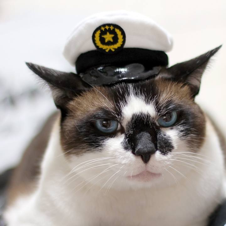 Bcabe3f8 a1f5 48bc b919 49046a66c172