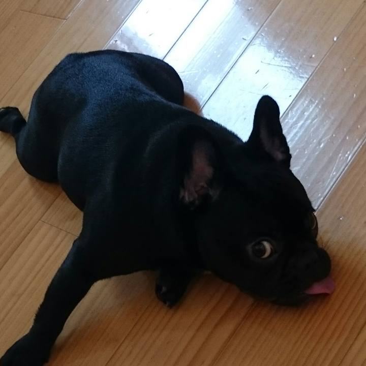 Bcabebe4 6a83 4076 b6ec 91941f328461