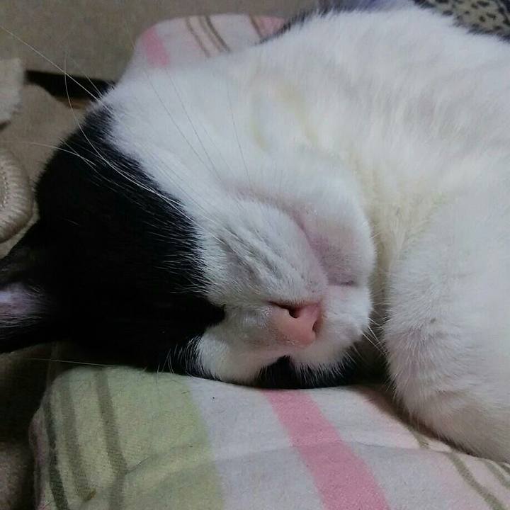 Bcabf64a 4a33 4b6e b907 f3abb1b3dbd7