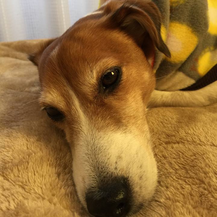 Bcac504e 963b 40c8 8d1e 7c36de6e3448