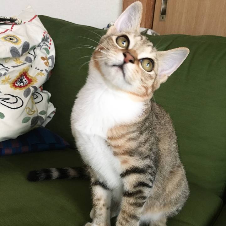 Bcac8594 576e 40af aaf7 747452e038d2