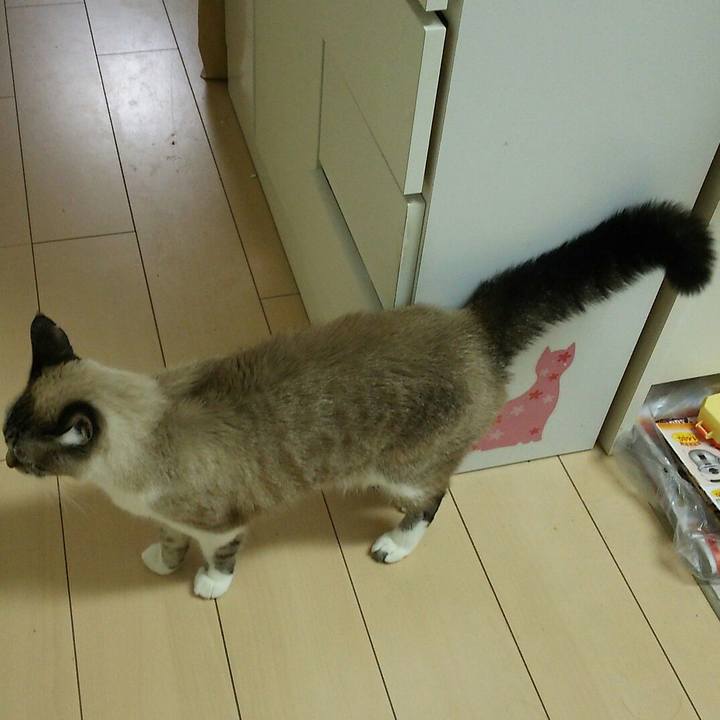 Bcacd2ea 132a 40b1 83dc 6b4a379f477c