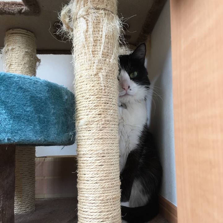 Bcad085d ede4 4ec2 b229 d9af6cc042b1