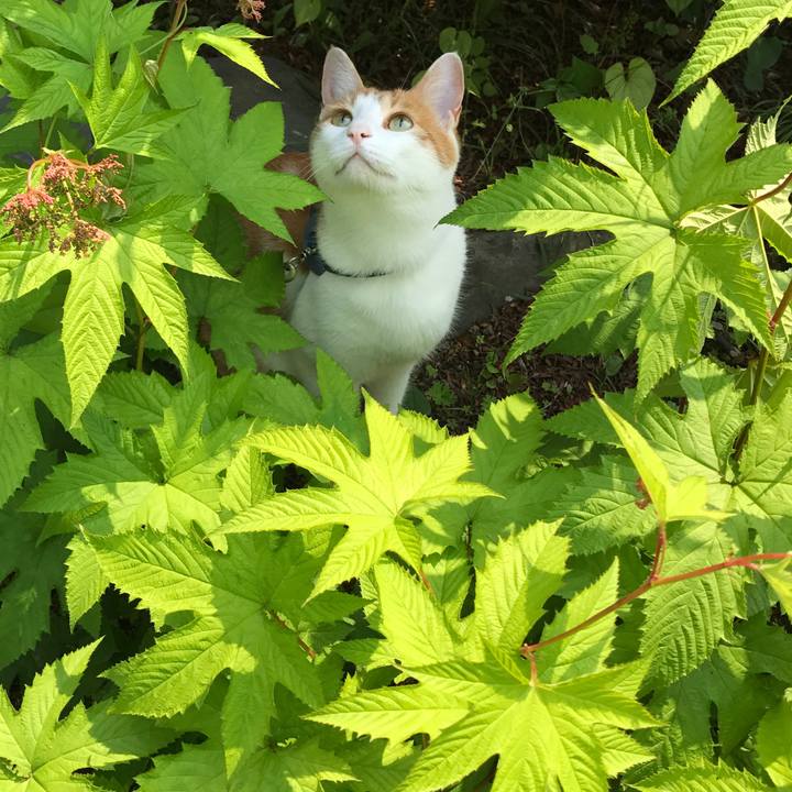 Bcadf246 c0f1 4719 ab74 5299fc6cddfd