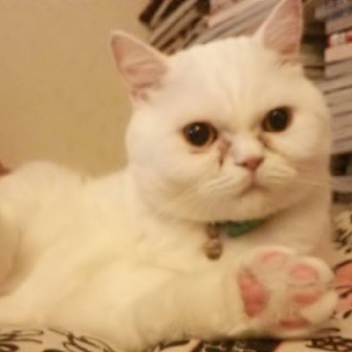 Bcafb53f 48c2 4aee b047 56c6586a9a3c