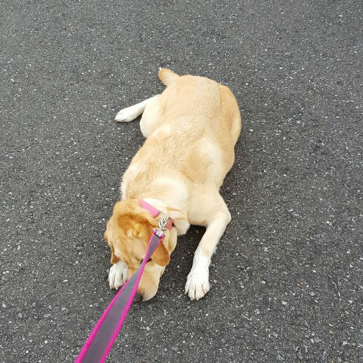 Bcb0db19 ca74 434d 9a4c 027942ec7a68